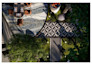 design backyard, front yard garden, patio, pool, terrace 3d rendering